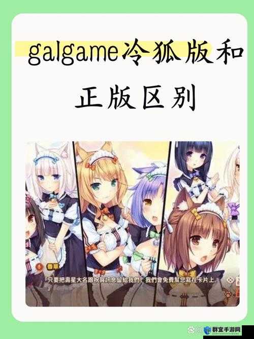 冷孤汉化繁星汉化 18 游戏直装：带你进入成年人世界的冒险之旅