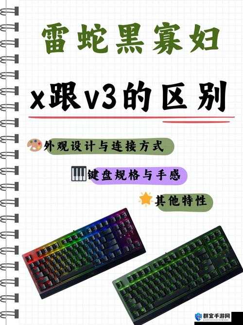 黑寡妇 V3 有线和无线区别:深入对比及选购指南