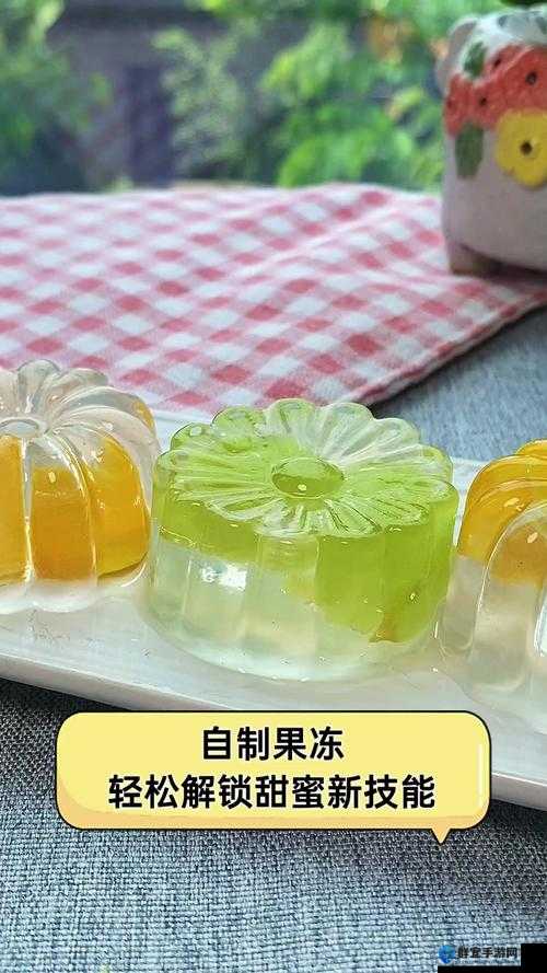 9I 果冻制作厂：专注高品质果冻的匠心打造
