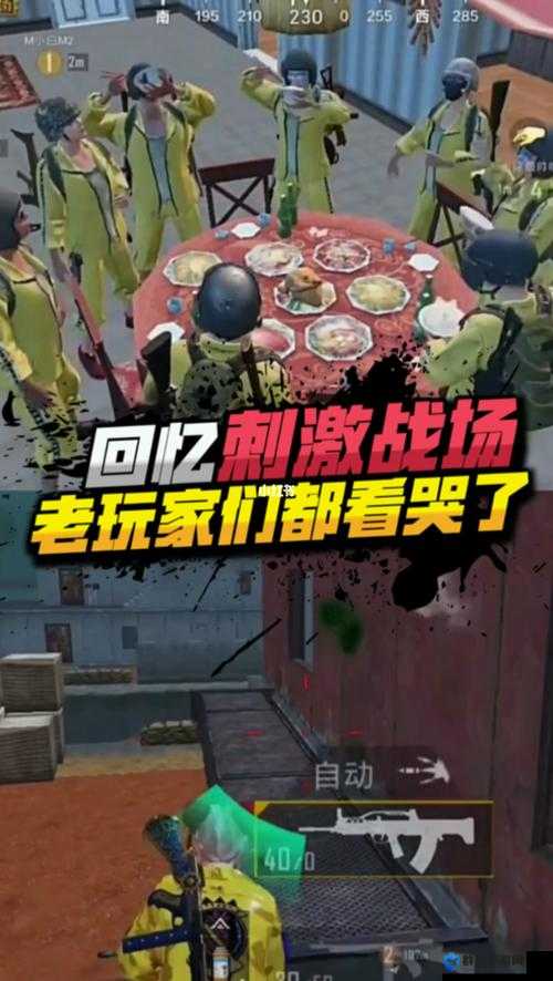 老婆沉迷刺激战场:游戏中的别样欢乐时光