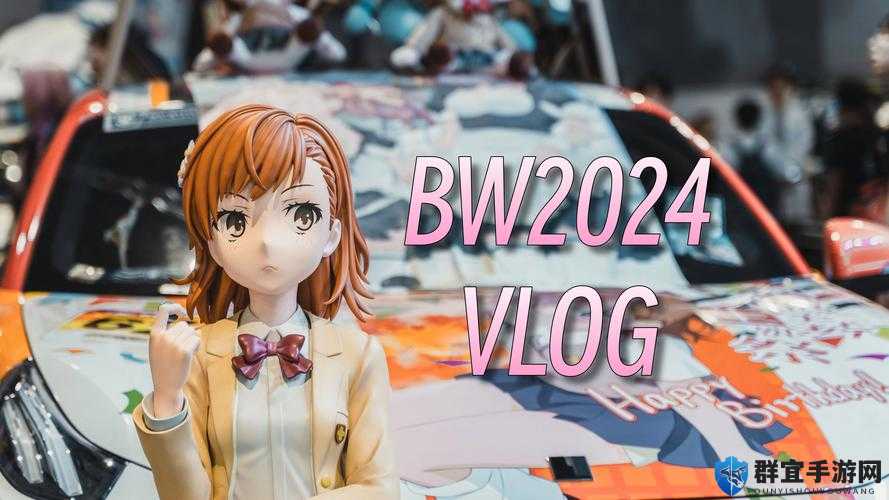 珍稀老 BWBWBWBWBW 对欢迎您:一场跨越时空的经典之旅