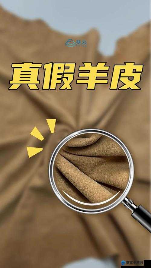 AAAA 级毛皮最简单三个标志轻松辨别：毛皮等级轻松识