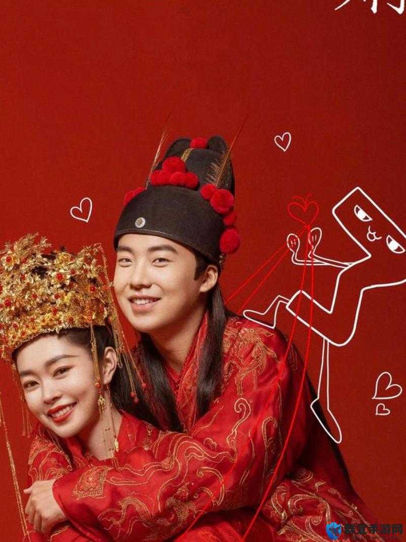 星空无限传媒在线观看电视剧赘婿：领略别样精彩剧情