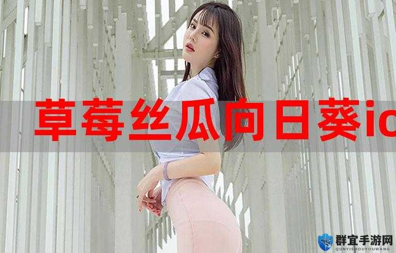 丝瓜草莓向日葵芭比幸福宝 app 下载安装：畅享精彩多元世界