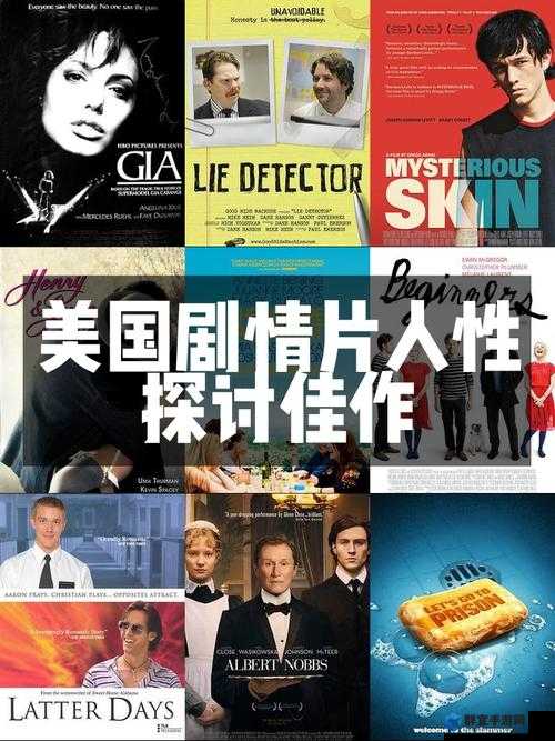 美国伦理眉睫有 2：关于其深入探讨与全面分析