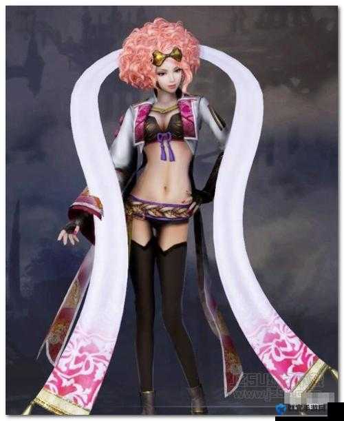 无双大蛇3服装编号一览,全女角色服装编号介绍