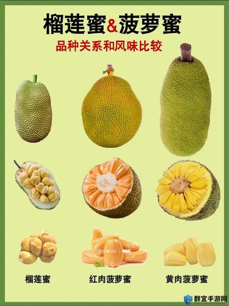 榴莲香蕉苹果哈密瓜水蜜桃全集发布：震撼来袭不容错过