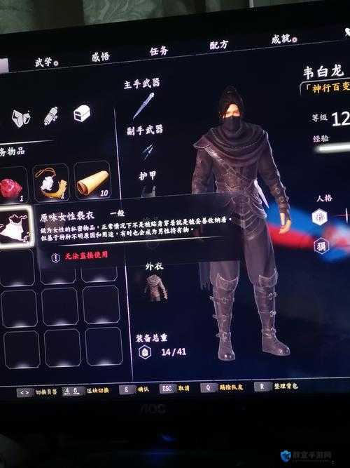 河洛群侠传怎么偷东西,偷窃方法介绍