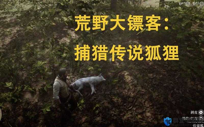荒野大镖客2传奇狐狸追踪记，探寻白狐的神秘踪迹