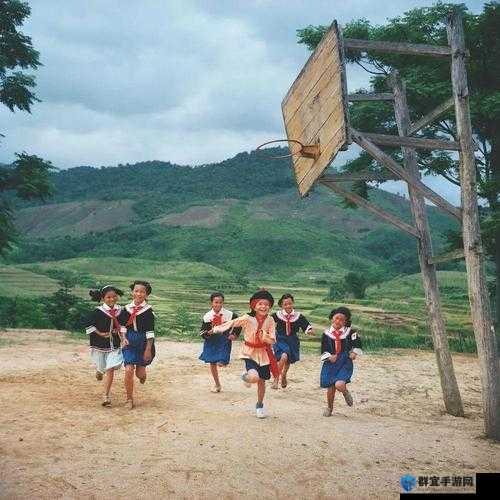 2008年经典电脑照片全套下载包：重温旧时光，高清大图一键获取