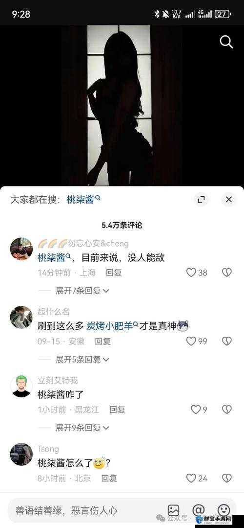 探秘hl155.ccm黑料:揭秘背后不为人知的真相与网络热议焦点