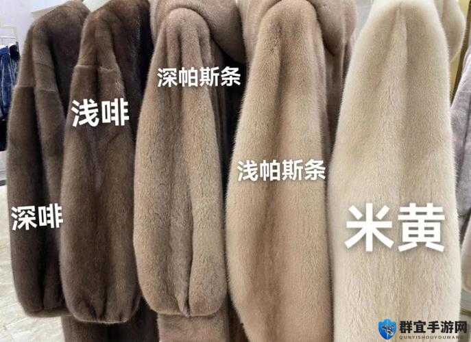 AAAA 级毛皮最火的一句:揭秘背后的羞涩视频,网友热议不断