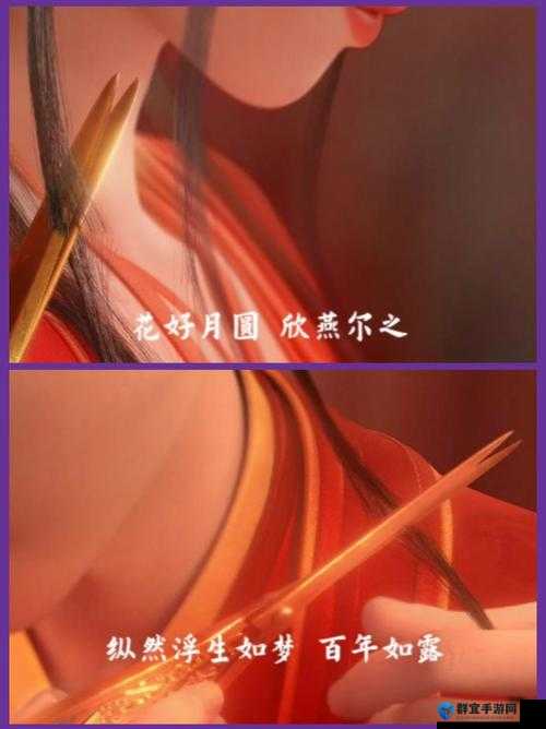 群臣共享皇后和银羽的传奇故事：揭秘古代宫廷的权力与爱情纠葛