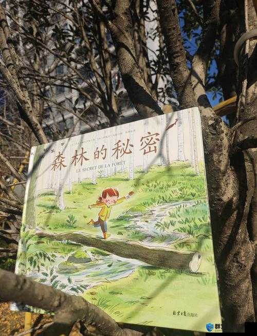 双手游走在你茂密的森林：探索自然奥秘与心灵深处的宁静之旅