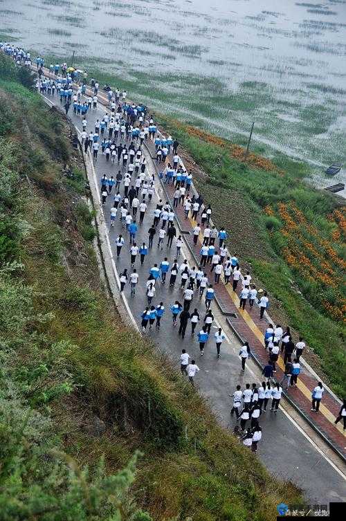 旅行者骑在申鹤运动视频：探索极限运动与自然美景的完美结合，感受速度与激情的碰撞