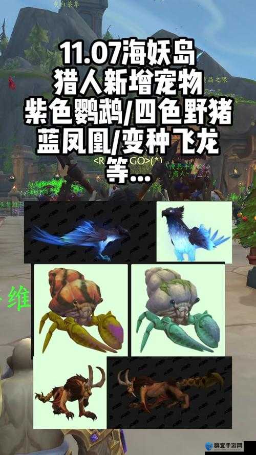 魔兽世界8.0呱呱鹦鹉怎么获得，呱呱鹦鹉获得方法介绍