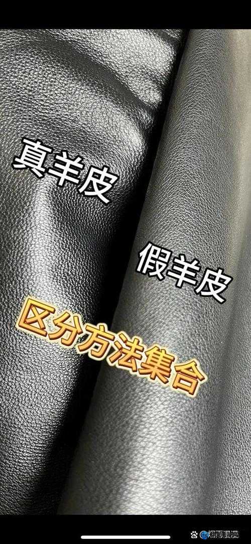 AAAA 级毛皮是纯天然还是仿生制作?揭秘高品质毛皮的真正来源与鉴别方法