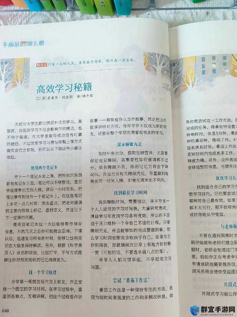 国外黄冈B站热门视频解析:如何高效学习与提升自我,这些技巧你不能错过