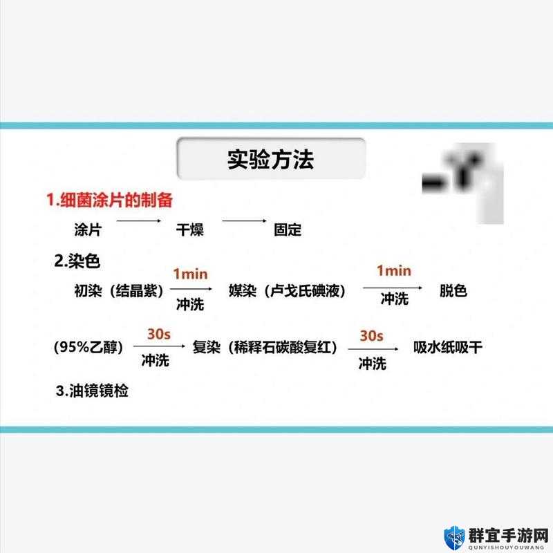 染色1V1涂弦技巧大揭秘：如何在家轻松实现专业级效果？