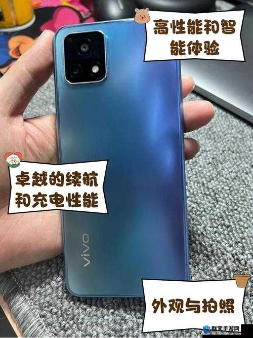 成色好的y31s标准版官网翻新太慢了？如何快速解决购买问题并享受优质服务