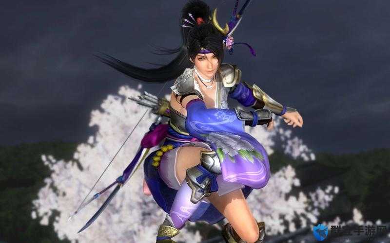 无双大蛇3稻姬怎么玩，稻姬招式分析及玩法推荐
