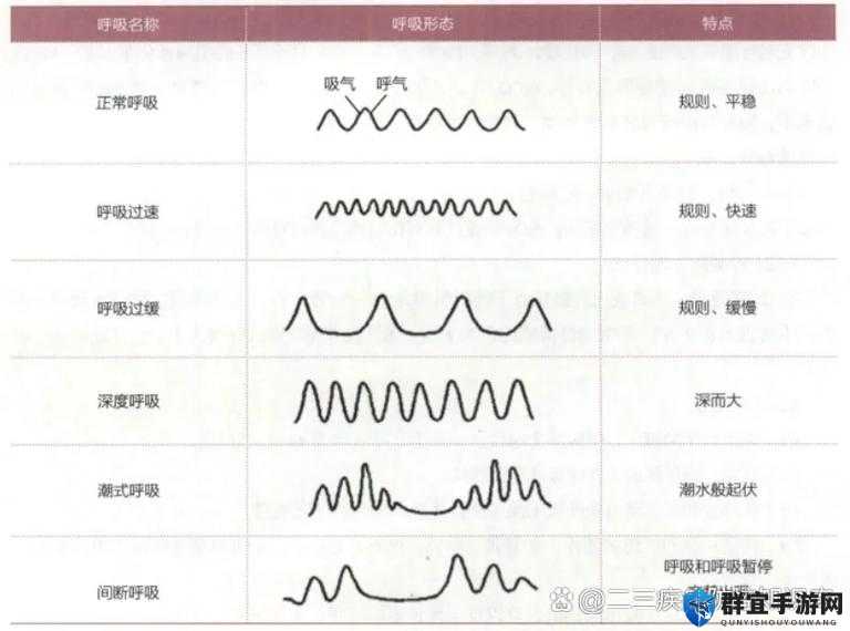 呼吸边缘属性效果与基本玩法全揭秘