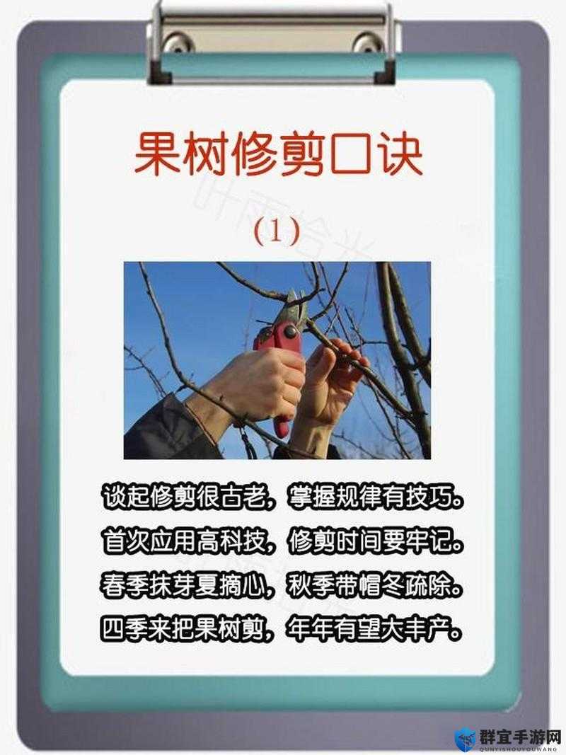 揭秘森林刷树枝秘籍，生存者的资源无限术