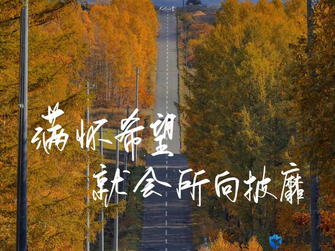 满怀期待，星界边境未来将有重大改变