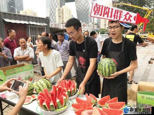 51吃瓜北京朝阳群众热心吃瓜：揭秘朝阳区居民如何积极参与社区事务