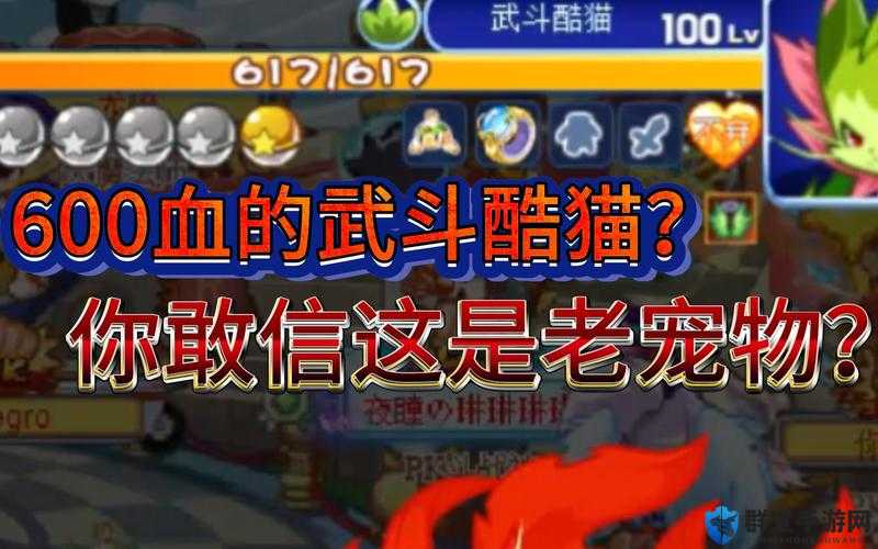 全民英雄宠物战斗画面曝光，深度解析与实战攻略