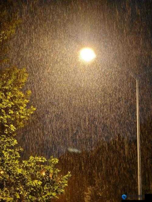 出差遇到暴风雨，属下 850 该怎么办？
