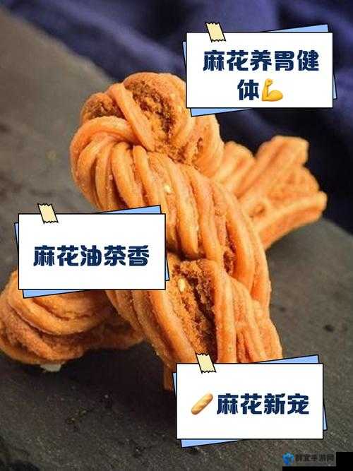 麻花 XK8049 是什么？它有何独特之处和重要价值？一起来了解
