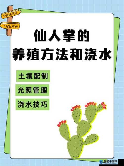 放逐之城农作物种植养殖技巧,底层逻辑与操作映射深度解析
