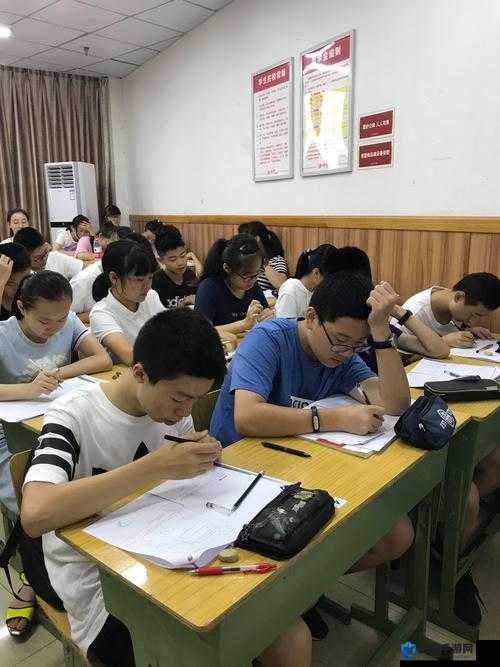 75283点xyz打开后，女大学生的真实生活与学习经历分享，揭秘她们的日常点滴与成长故事
