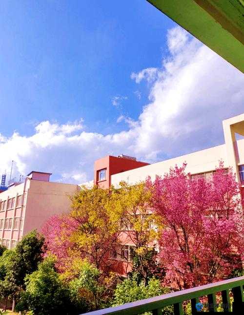 甜美JK女大学生与导师之间的独特互动：校园生活中的别样风景