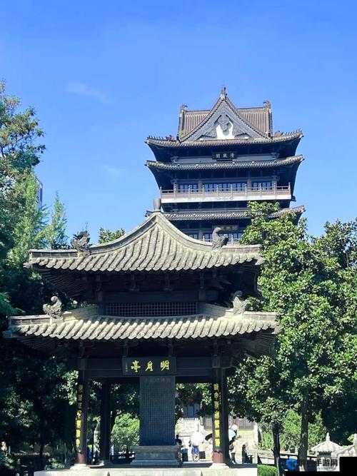 清风阁很很干到底是什么意思?为何它能引发广泛关注与热议?