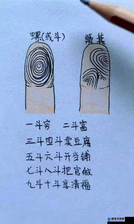 一只手刚好能握住是什么体验？探究其背后的奥秘与意义