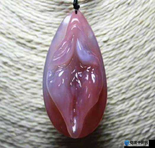 如何欣赏女性下部？专家解析女性下部的魅力