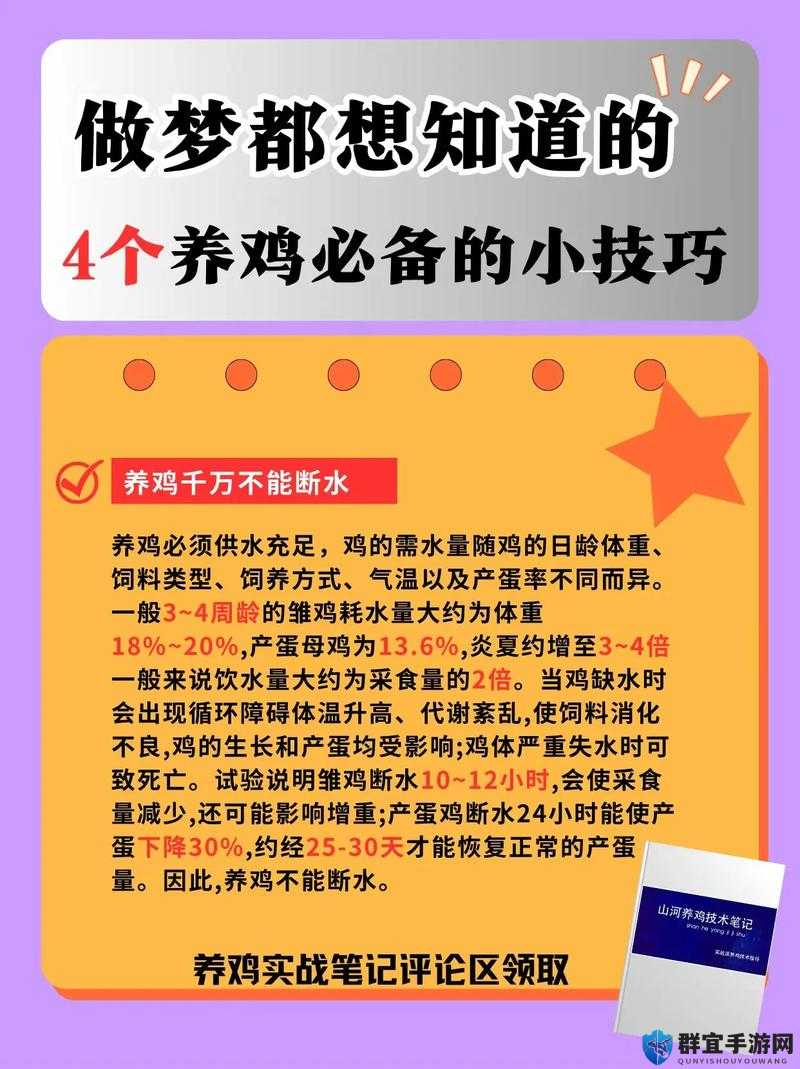 探索超级肉禽系统的奥秘：紫岭红山如何提升养殖效率与品质
