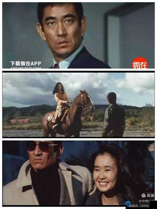 Remember 日本电影到底讲述了什么?为何备受关注?