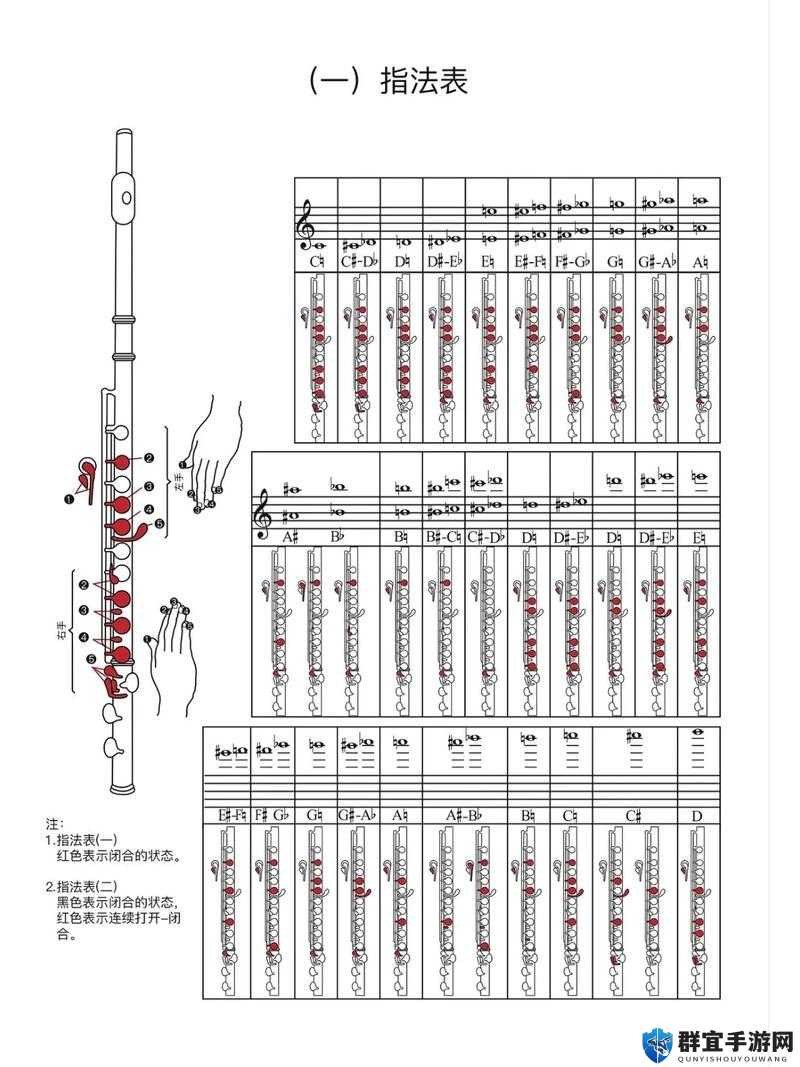 魔法门10，传承长笛使用方法深度解析