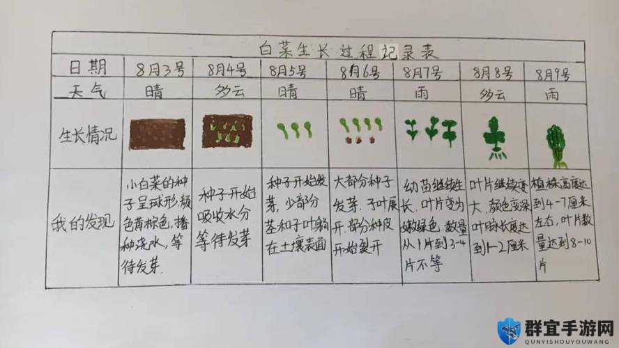 星球探险家种子种植攻略的演变史专题