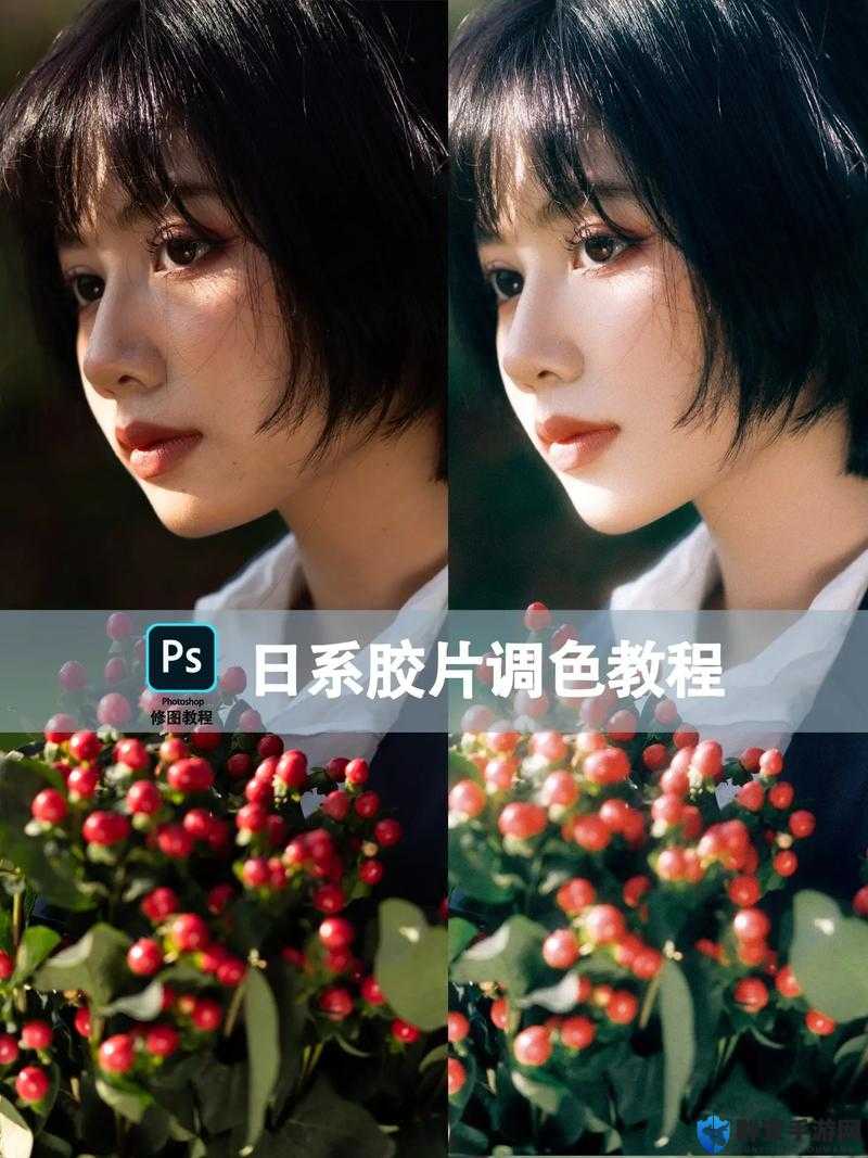 免费PS大片调色视频播放：掌握专业级调色技巧，轻松提升照片质感与视觉效果