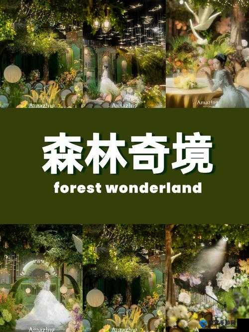 探索仙踪林limited精品的独特魅力：揭秘其高品质设计与精致工艺的完美结合