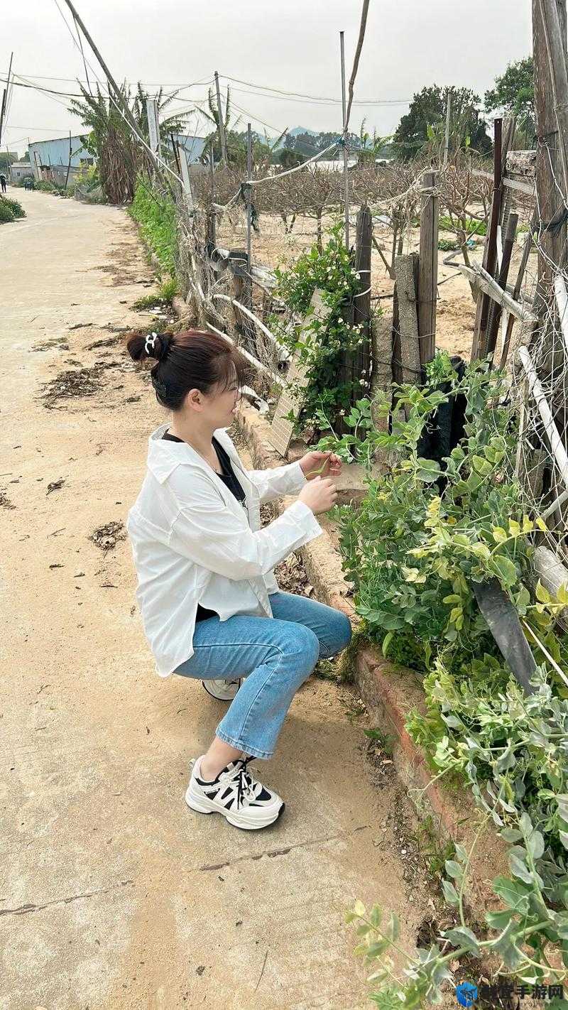 乡野村妇熟女乱故事：揭秘乡村生活中的真实情感与复杂人际关系