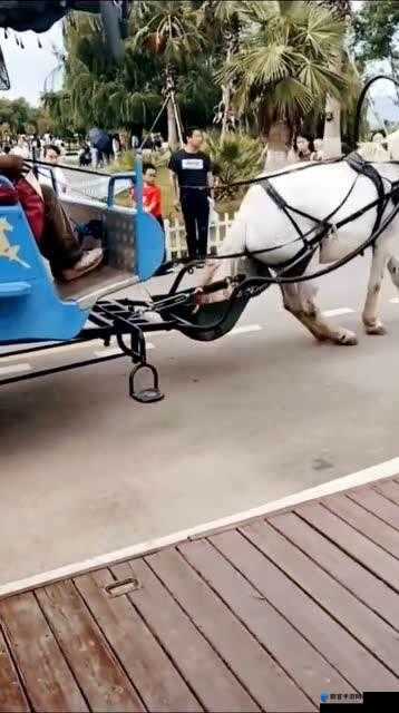 小马拉大车在男女关系中的英语表达是什么？快来一探究竟