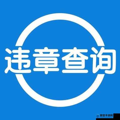 17.c.ccm查询入口：快速找到所需信息的便捷通道与详细指南