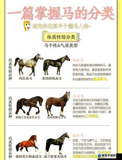 提问：马是如何进行交流的？探究马之间独特的交流方式大揭秘
