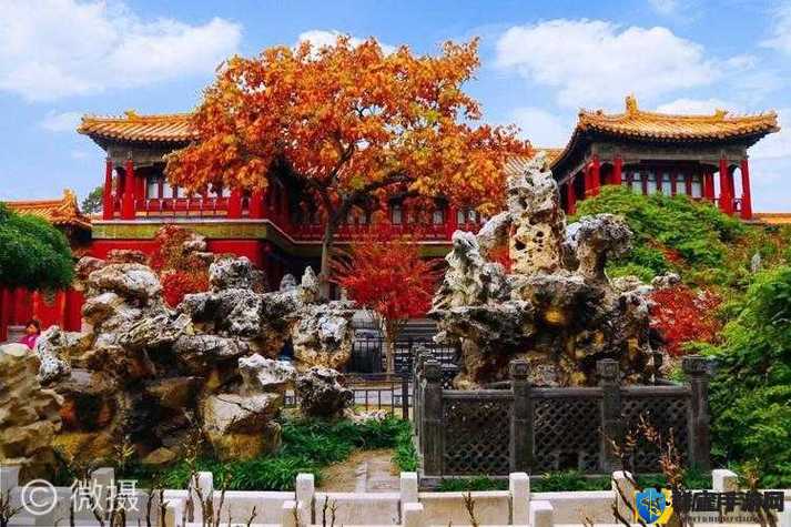 霍冶臻在皇上御花园的结局是什么?