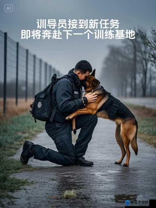 张警犬9分10秒头撞玻璃惊险瞬间：训练中的意外还是隐藏的秘密？